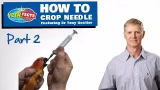 How to Crop Needle PART 2