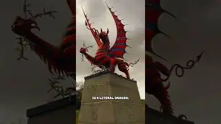 САМЫЕ СТРАННЫЕ НАЦИОНАЛЬНЫЕ ЖИВОТНЫЕ!