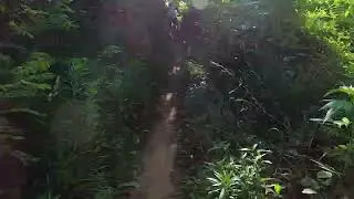 MTB DH 107