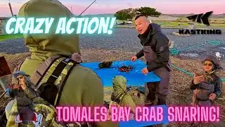 INSANE Crab Snaring at Tomales Bay! 🦀 Dungeness on the KastKing ReKon