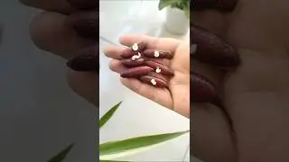 How to grow date palm from seeds | How to grow Date Palm at home | part-1(Germination)