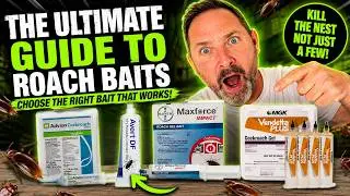 Ultimate Guide to Roach Baits: Choose the Right Cockroach Bait That Works