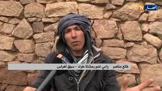 سوق اهراس: فاتح..   راعي غنم يواجه البرد القارس في بيئة جبلية قاسية