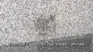 Hail Damage to Asphalt 40 Year Laminate Tile