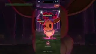 Solo Dynamax Eevee with budget team 