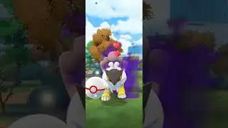 Shadow Shiny Hunting with Raikou 