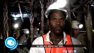 Harmony values - Safety