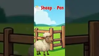 Where Do Animals Live? 🐾 | Animal Homes for Kids | #Shorts #LearnWithMaxphine
