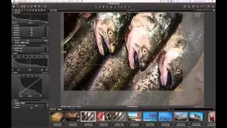 The Vignetting Tool in Capture One Pro 7 | Phase One