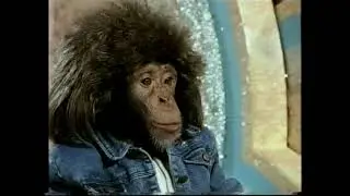 PG Tips - Blind Date Chimpanzees - TV Advert / Commercial (1992) VHS Rip/Capture
