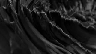 Storm Background Motion Background / Commercial license