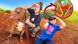 MEU CACHORRO FOI ATRAS DO PALHAÇO COVEIRO!!! 😰
