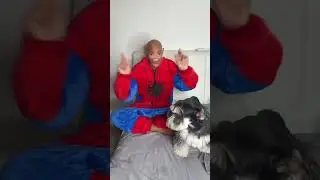 Cuando le de echas la culpa a tu perrito por todo 😂! #comedia