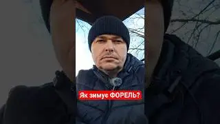 Як зимує ФОРЕЛЬ?