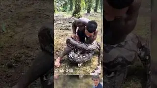 Reticulated Python vs Human &ndash; Unbelievable Confrontation