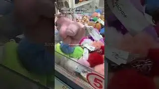 MINI FEISTY PINK PIG 😂😂😂 #shorts #youtubeshorts #clawmachine #pelucia #game #brmachine #feistypets