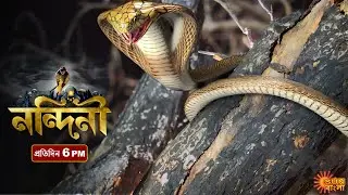 Nandini | Episodic Promo | 27 Feb 2020 | Sun Bangla Serial | Bengali serial