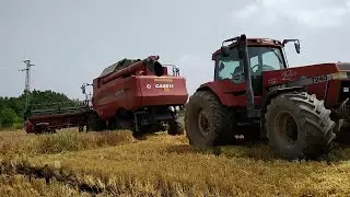 Obt&iacute;žn&aacute; sklizeň ječmene / Difficult barley harvest (2021)