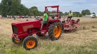 De Pikkeling 2022 in Moorsel