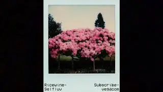 Ricewine- Selfluv