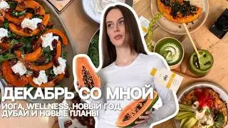 мои очень странные дела в декабре | wellness, новый год в Дубае и пополнение в семье