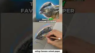 Pastel Pencil Techniques: Achieve Stunning Art on Pastelmat Paper