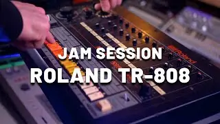 Jam Session with Roland TR-808 [Synthesizer Demo] (No Talking)