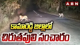 కామారెడ్డి జిల్లాలో చిరుతపులి సంచారం | Leopard Spotted In Kamareddy District | ABN