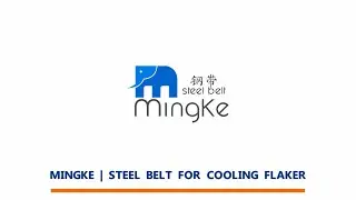 STEEL BELT FOR COOLING FLAKER, stainless steel band for chemical flaking cooler machine