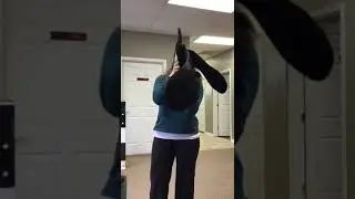Back Brace Demonstration