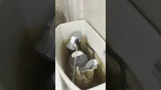 Toilet Tank Fill Valve - finish by flushing to test