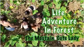 Cuddly Forest Adventures: The Cutest Critters | Angkor Primitive TV