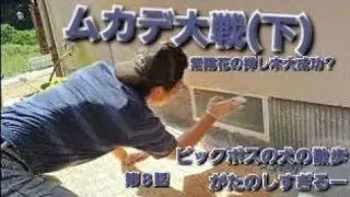 ムカデ大戦(下)新しい仲間がいっぱい！紫陽花が元気そう！来年の梅雨がたのしみ