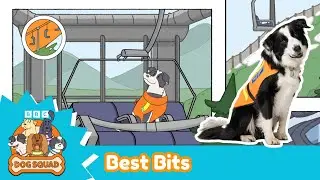 Dog Squad Series 3 | Best Moments | Dog Squad | CBeebies