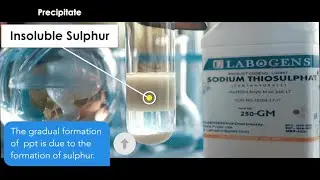 What happens when sodium thiosulphate (Na2S2O3) reacts with nitric acid (HNO3)? | HNO3+Na2S2O3