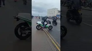 Suzuki RG500 sound #shorts #twostroke #viral