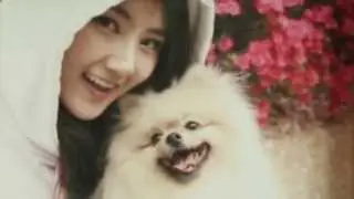 Smart Pet Care!!! SinglePet !