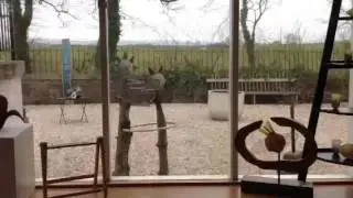 greengallery