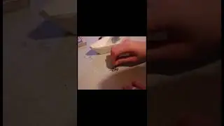 Слишком шумно/Too loud трейлер короткометражного фильма