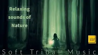 1 hour of Relaxing  Soft Tribal Music, Nature Sounds, Sleep, Meditation, Stress Relief, Soothing