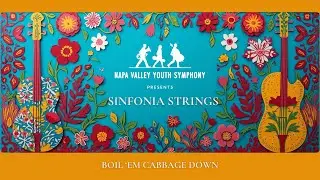 Boil &rsquo;Em Cabbage Down &ndash; American Folk Song | NVYS Sinfonia Strings Ensemble