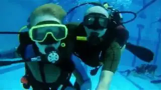 Intro dive 8 ya
