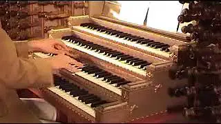 Second Wind Fantasy - Willem Tanke (St. Laurens Church, Rotterdam)