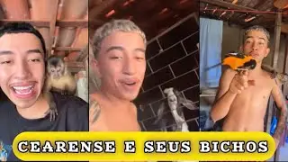 OS VIDEOS MAIS INCRIVEIS DO CEARENSE REVELADOS!