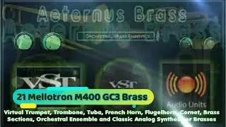 Virtual Synth Brass: Mellotron M400, Oberheim Xpander, Memorymoog VST VST3 Audio Unit EXS24 KONTAKT