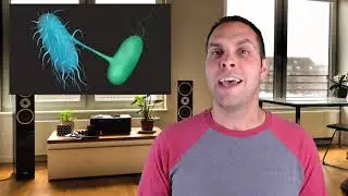 Horizontal Gene Transfer