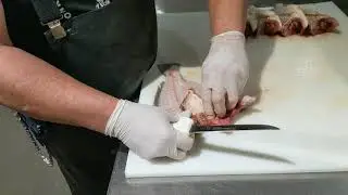 Croaker (head off & split)