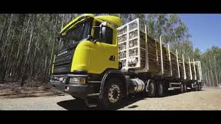 Bitrem Florestal Metalesp