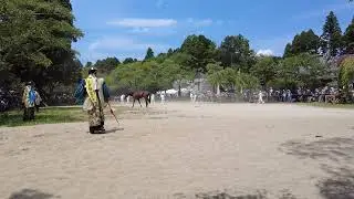 Hunting Wild Horses at Soma Nomaoi Festival (D), Minamisoma, Fukushima, Japan