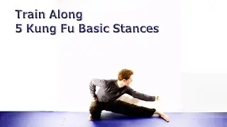 Five Kung Fu Basic Stances